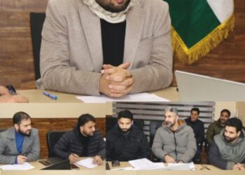 DC Srinagar reviews progress of digitization of Rev records in the Distt
