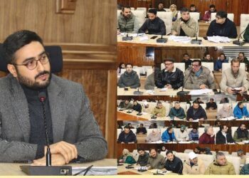 DC Srinagar reviews progress of works under District CAPEX budget for 2025-26