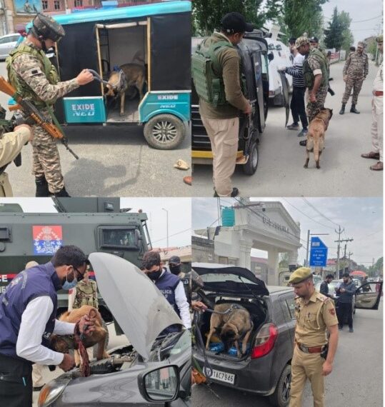 Srinagar Police Deploy Sniffer Dog Squad, Intensify Crackdown on Drug Trafficking