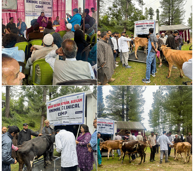 SKUAST-K, DARS conduct one-day training Prog on ‘Promotion of Potential Crops’