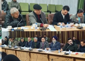 Rather chairs Apex Committee meeting on NeVA, asks for early project completion