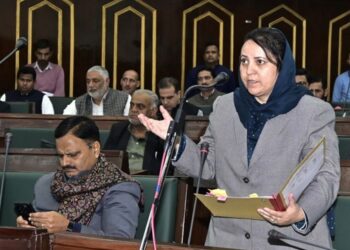 Burzahama Hospital to be constructed at alternate site: Sakeena Itoo