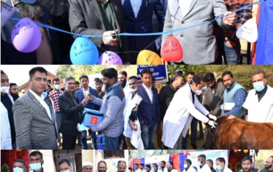 Campaign to vaccinate cattle against FMD held at Bandipora