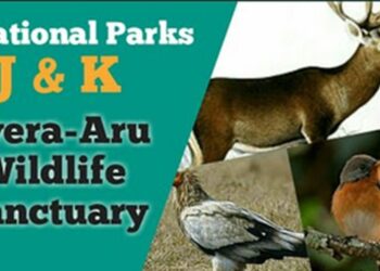 Ministry of FE&CC issues final Notification for Eco-Sensitive Zone of Aru Wildlife Sanctuary