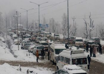 Snowfall cripples life in Kashmir