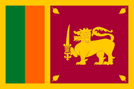 Sri Lanka’s acting Prez declares state of emergency