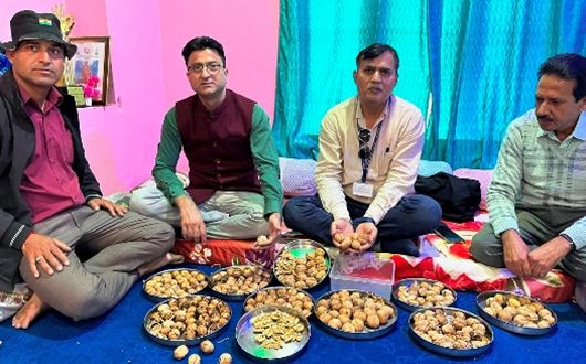 Turning Passion into Prosperity: Suneel Singh scripts Walnut cultivation success Story with ICAR-CITH -Srinagar
