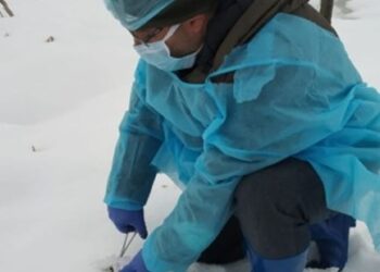 Surveillance for Avian Influenza started in Kashmir