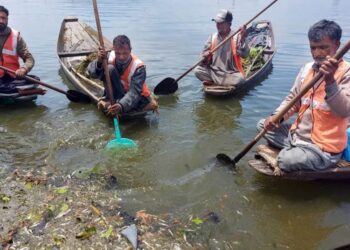 Thousands of fish found dead in Dal Lake
