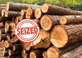 Forest Deptt, Police seize 34 CFT of illicit timber in G’bal,FIR registered,DFO vows stringent action against forest offenders