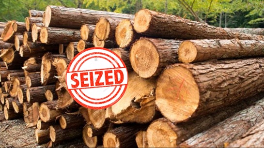 Forest Deptt, Police seize 34 CFT of illicit timber in G’bal,FIR registered,DFO vows stringent action against forest offenders