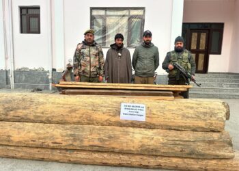 Police busts illegal timber smuggling in Ganderbal; Huge quantity of forest timber recovered