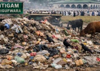 Toxic Dump Yard Near Eidgah in Hitigam Sparks Health Scare, Dog Attacks Leave 10 Injured