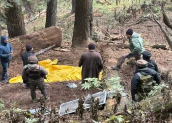 Security forces bust hideout in Shopian village