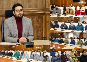 DC Srinagar reviews implementation of PM Surya Muft Bijli Yojana in distt
