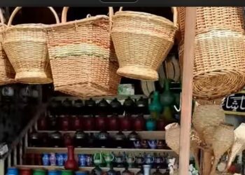 Woven by Hand, Threatened by Plastic Kashmir’s Zampa Craft Fights for Survival.