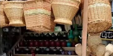 Woven by Hand, Threatened by Plastic Kashmir’s Zampa Craft Fights for Survival.