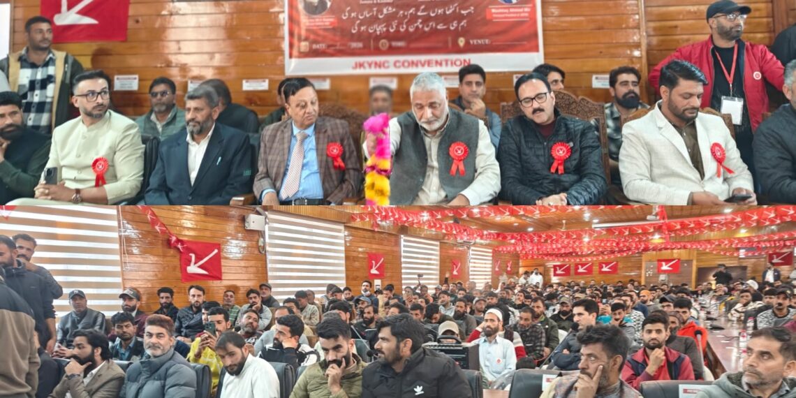 YNC holds one-day party convention in Sopore