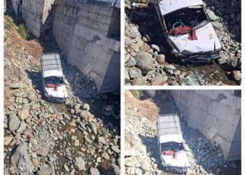 Ayurvedic Doctor Killed, 7 Other Persons Injured in Anantnag Road Mishap