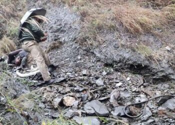 Xen R&B among 3 killed as vehicle goes rolling into Chenab in Doda, Condition of SE undergoing treatment critical