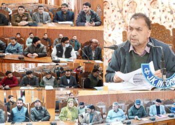 ADDC Shopian reviews Mission YUVA in district, Interacts with SBDUs and BHDs, calls for enhancing grassroots outreach