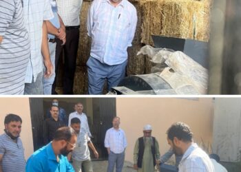 Director Agriculture visits Integrated Mushroom Development Centre at Lalmandi