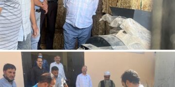 Director Agriculture visits Integrated Mushroom Development Centre at Lalmandi