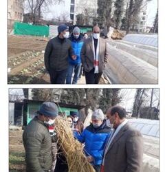 Dir Agri (K) visits Ganderbal distt