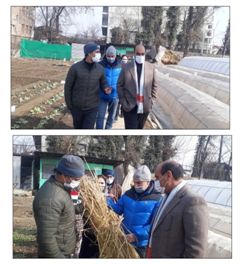 Dir Agri (K) visits Ganderbal distt