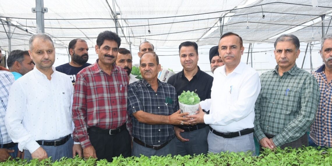 Dir Agriculture Jammu distributes One Lakh Hybrid Vegetable Seedlings under HADP