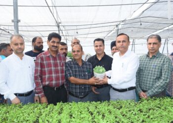 Dir Agriculture Jammu distributes One Lakh Hybrid Vegetable Seedlings under HADP