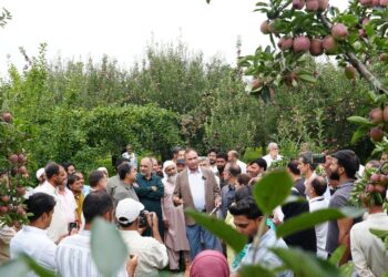 Ambri Apple Revival Takes Centre Stage at SKUAST-K Field Day