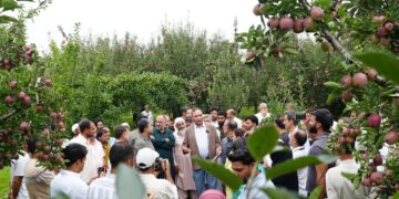 Ambri Apple Revival Takes Centre Stage at SKUAST-K Field Day