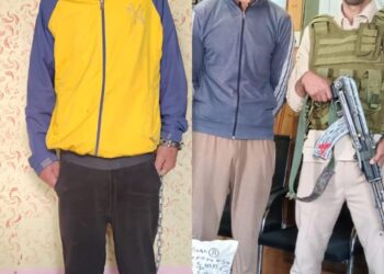Two Drug Peddlers Arrested in Anantnag, Sopore: Police