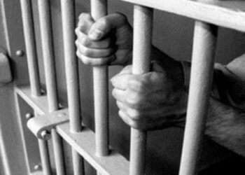 Fraudster Detained Under PSA By Crime Branch Jammu