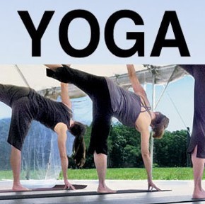 District admin , AYUSH deptt organise yoga awareness camp at Birla Park Kathua