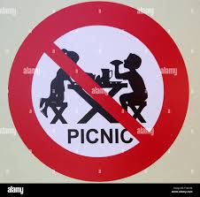Govt imposes complete ban on picnics by schools, colleges on weekends, holidays