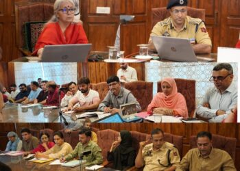DM Bandipora chairs District-Level NCORD Meeting, reviews NDPS cases and Anti-Drug Measures