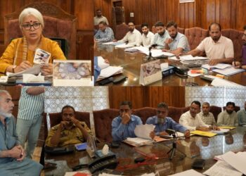 DC Bandipora Pushes Priority Sector Lending, 100% KCC Saturation