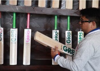 International cricketers to use Kashmir willow bats during ODI World Cup in India