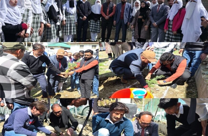 DC launches plantation drive at BHSS Kupwara