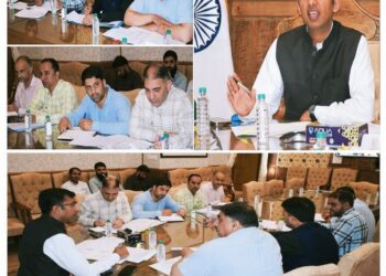 Adopt proactive approach to bring shadow areas under network coverage: Div Com(K) to BSNL