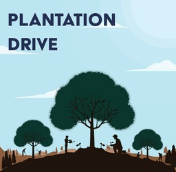 Grand Plantation Drive marks World Forest Day in Budgam