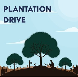 Grand Plantation Drive marks World Forest Day in Budgam
