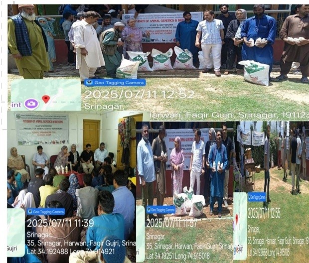 Input Distribution, Clinical & Awareness camp held for Sheep Breeders at Faqir Gujri Dara
