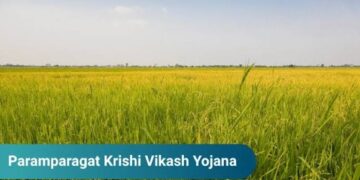CAO Srinagar Flags Off 60 Progressive Farmers for Exposure Visit under PKVY