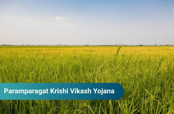 CAO Srinagar Flags Off 60 Progressive Farmers for Exposure Visit under PKVY