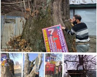 Clean Anantnag campaign launched, Hoardings & Posters removed from Chinars