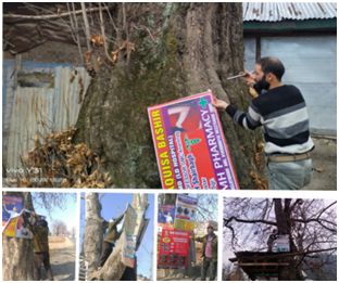 Clean Anantnag campaign launched, Hoardings & Posters removed from Chinars