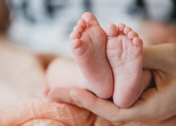 Newborn’s Body Found Abandoned In Shopian Forest